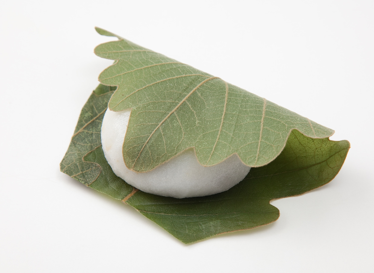 柏餅の葉っぱは食べる？剥がす？職人が明かす正解と健康への影響
