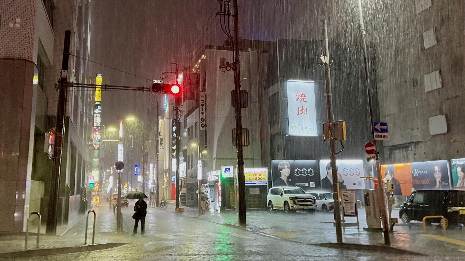 篠突く雨の意味と語源とは？土砂降りとの違いや例文・使い方を徹底解説