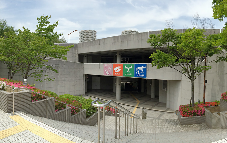 2026年、若者の「車離れ」に異変？「東急 自動車 学校」が仕掛ける教習改革と人気の裏側