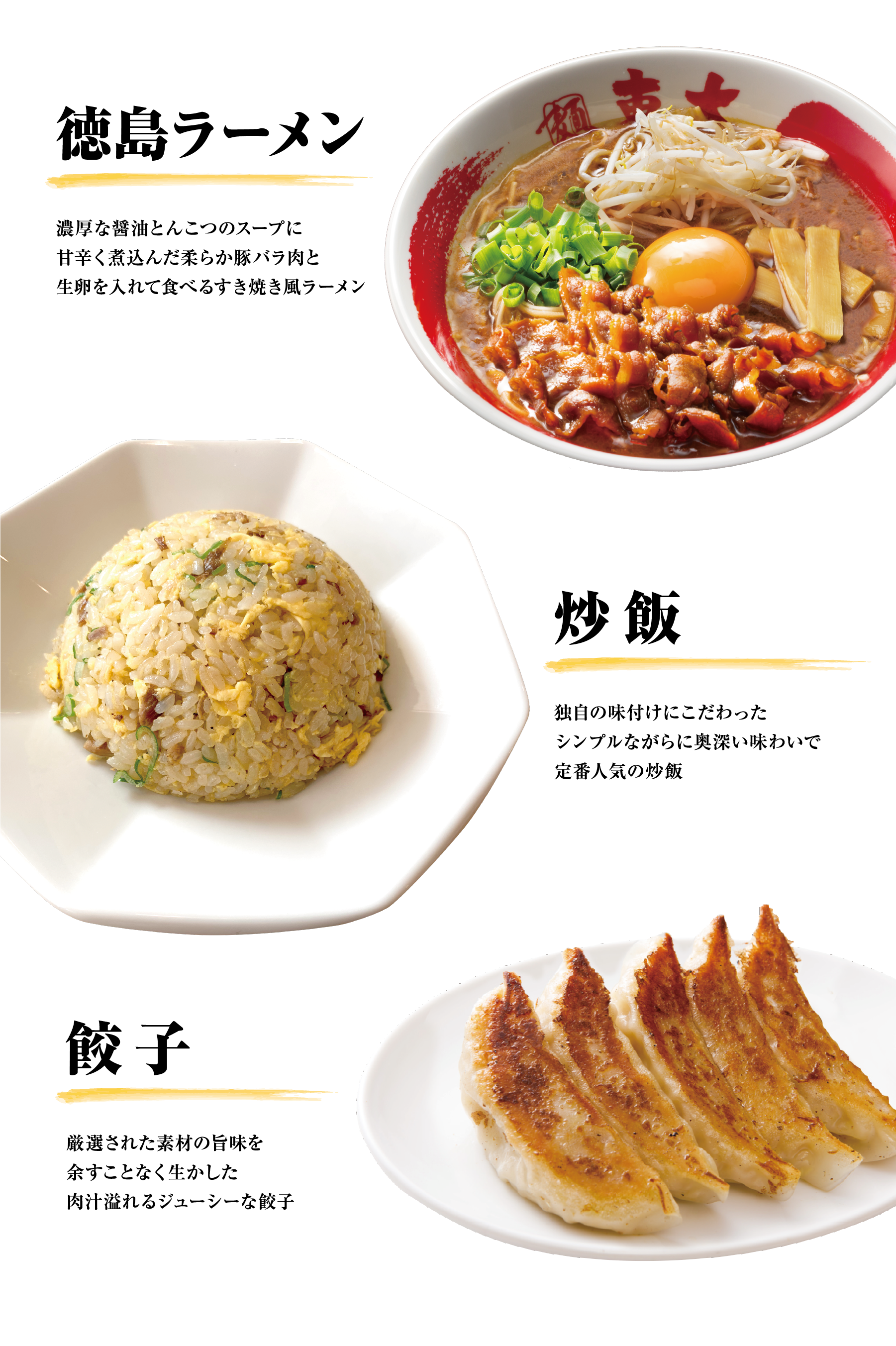 2026年、なぜ「東大ラーメン」に人々は狂喜するのか？濃厚豚骨醤油と狂熱の食文化が巻き起こす一杯の革命