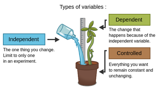 Dependent and Independent Variables in an Experiment
