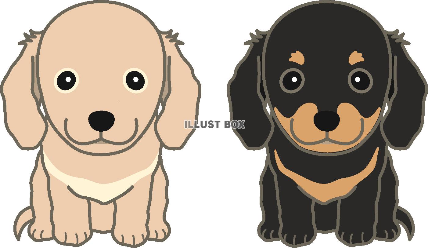 初心者が即プロ級！犬イラストをおしゃれに描く極秘テクと商用利用