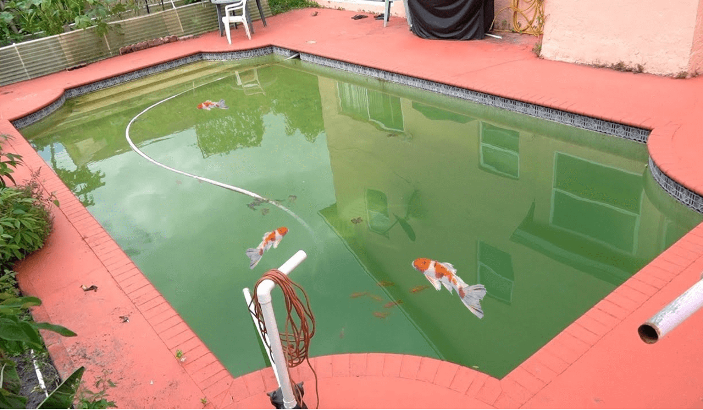 Why Does My Pool Smell Like Fish