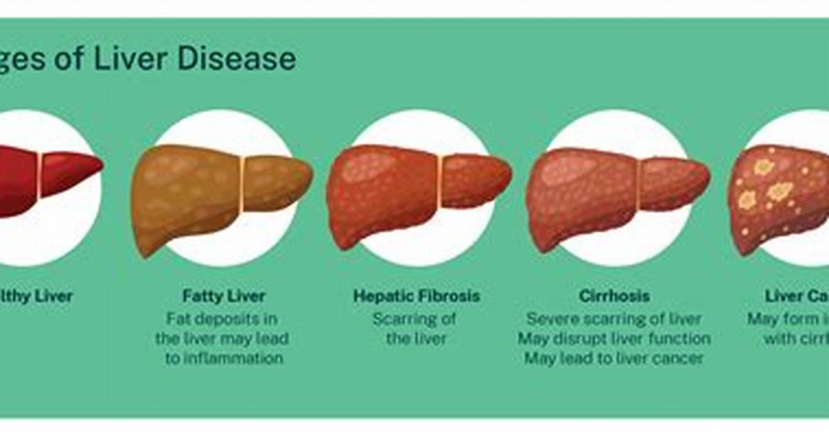 Does Liver