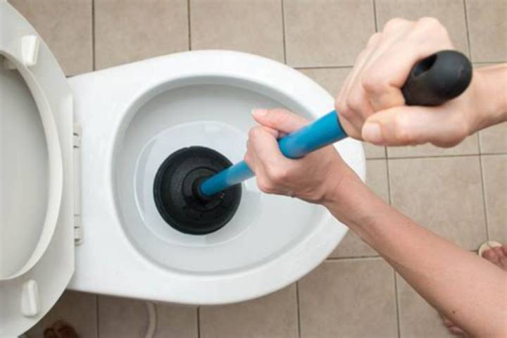 How to Unclog a Toilet: Fix It Fast (And Avoid Messes)