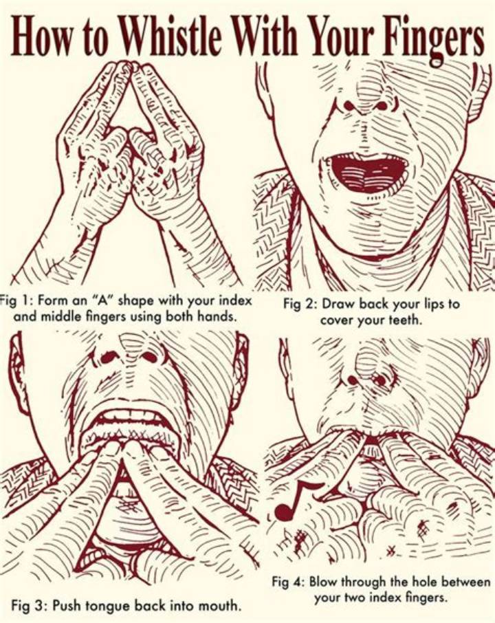 How to Whistle with Your Fingers: a Practical, Step-by-Step Guide