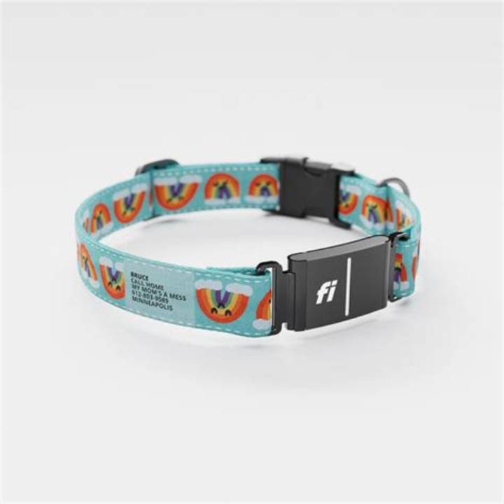 Jill Kittock Rainbow L Pattern Dog Collar: What Buyers Should Know