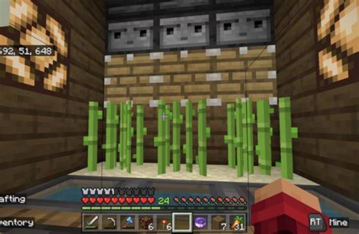 マイクラでサトウキビが育たない原因と対策ガイド