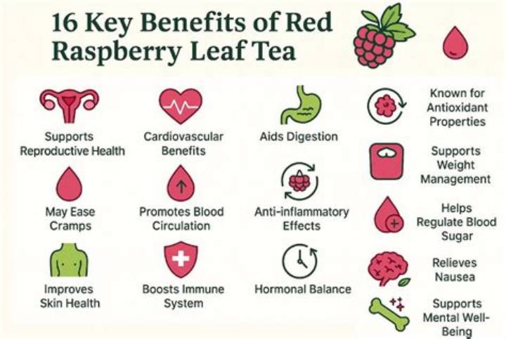 Raspberry Leaf Tea Benefits: What It Can (And Can’t) Do