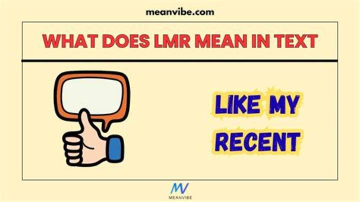What Does Lmr Mean? the Most Common Uses, Origins, and Meanings